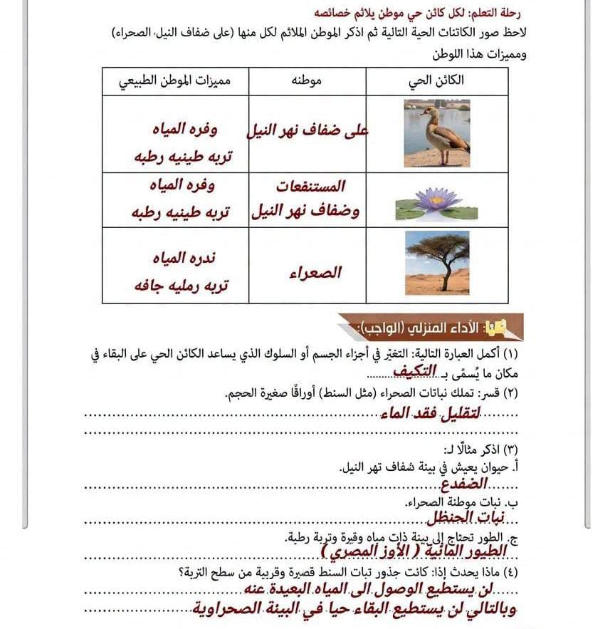 حل تقييم الاسبوع الثاني1 حل تقييم الاسبوع الثاني1